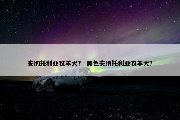安纳托利亚牧羊犬？ 黑色安纳托利亚牧羊犬？