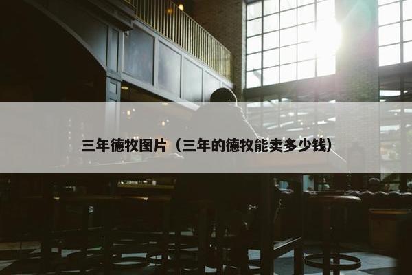 三年德牧图片（三年的德牧能卖多少钱）