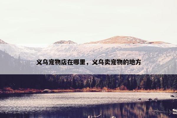 义乌宠物店在哪里，义乌卖宠物的地方