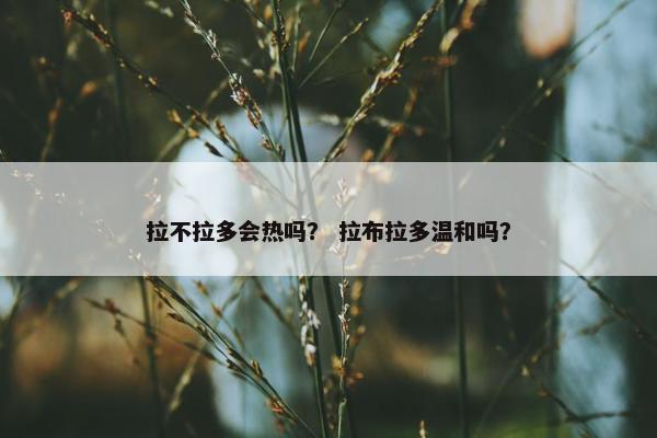 拉不拉多会热吗？ 拉布拉多温和吗？