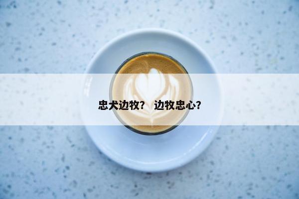 忠犬边牧？ 边牧忠心？