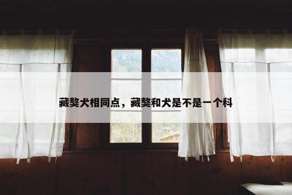 藏獒犬相同点，藏獒和犬是不是一个科