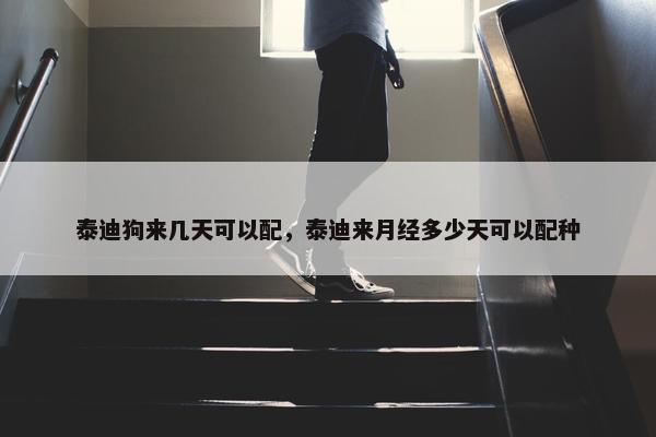 泰迪狗来几天可以配，泰迪来月经多少天可以配种