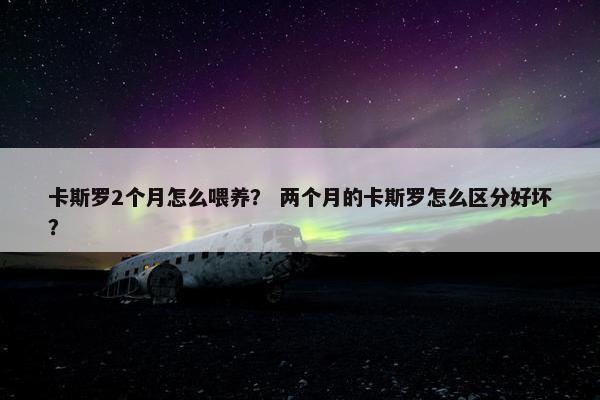 卡斯罗2个月怎么喂养？ 两个月的卡斯罗怎么区分好坏？