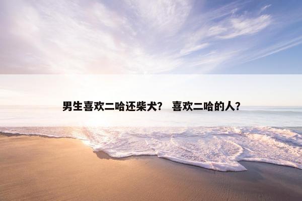 男生喜欢二哈还柴犬？ 喜欢二哈的人？