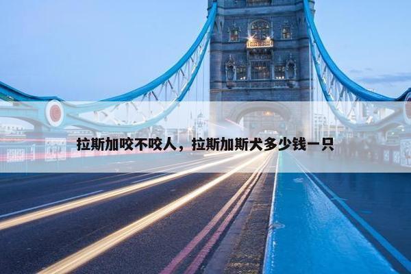 拉斯加咬不咬人，拉斯加斯犬多少钱一只
