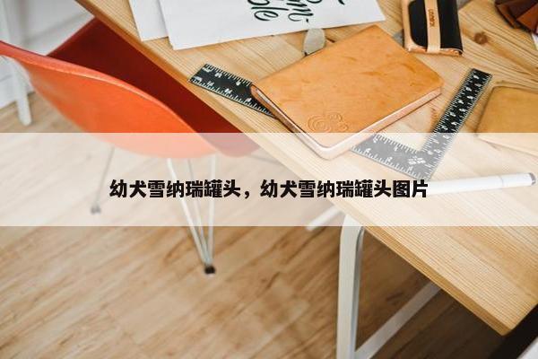 幼犬雪纳瑞罐头，幼犬雪纳瑞罐头图片