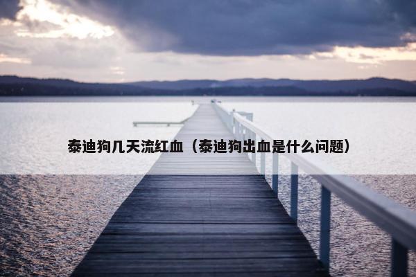 泰迪狗几天流红血（泰迪狗出血是什么问题）