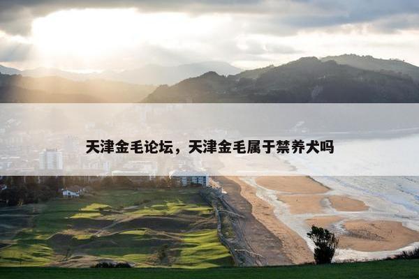 天津金毛论坛，天津金毛属于禁养犬吗