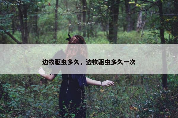 边牧驱虫多久，边牧驱虫多久一次