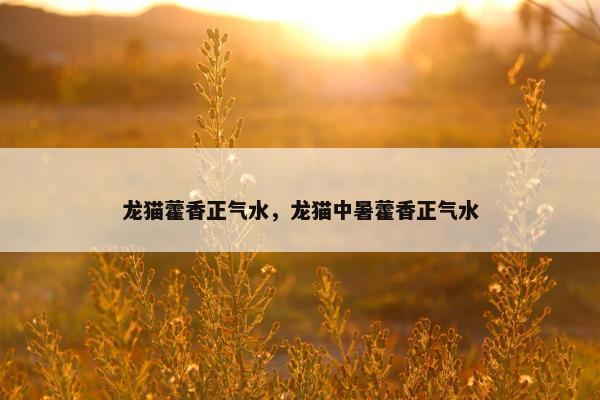 龙猫藿香正气水，龙猫中暑藿香正气水