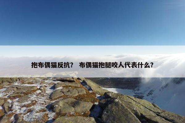 抱布偶猫反抗？ 布偶猫抱腿咬人代表什么？