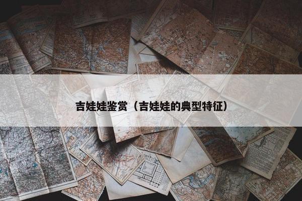 吉娃娃鉴赏（吉娃娃的典型特征）