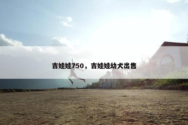 吉娃娃750，吉娃娃幼犬出售