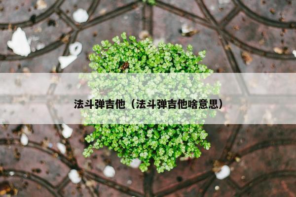 法斗弹吉他（法斗弹吉他啥意思）