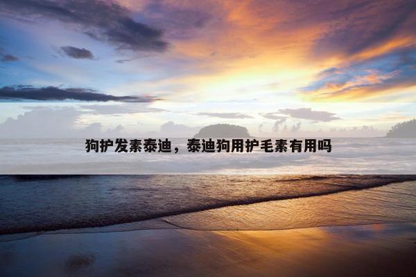 狗护发素泰迪，泰迪狗用护毛素有用吗