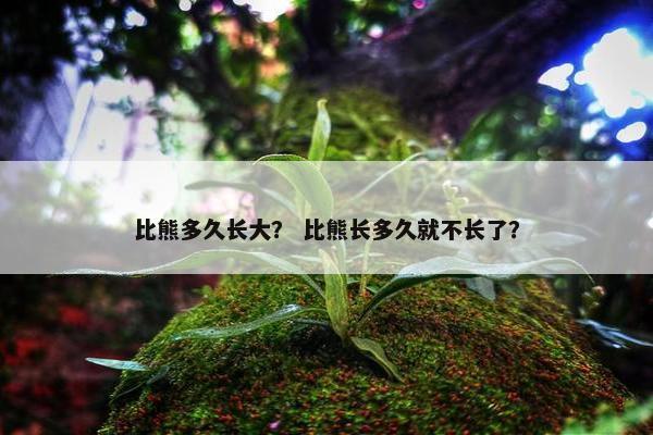 比熊多久长大？ 比熊长多久就不长了？
