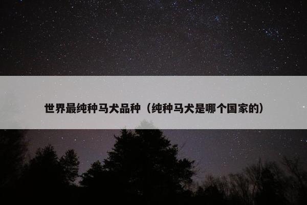 世界最纯种马犬品种（纯种马犬是哪个国家的）