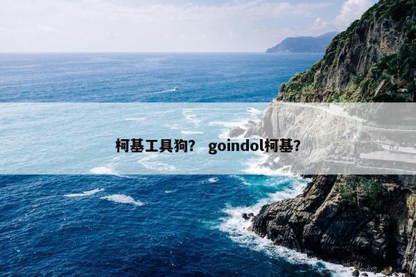 柯基工具狗？ goindol柯基？
