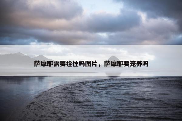 萨摩耶需要拴住吗图片，萨摩耶要笼养吗