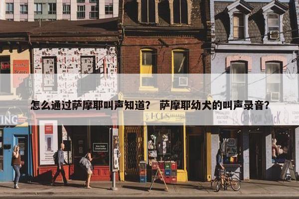 怎么通过萨摩耶叫声知道？ 萨摩耶幼犬的叫声录音？