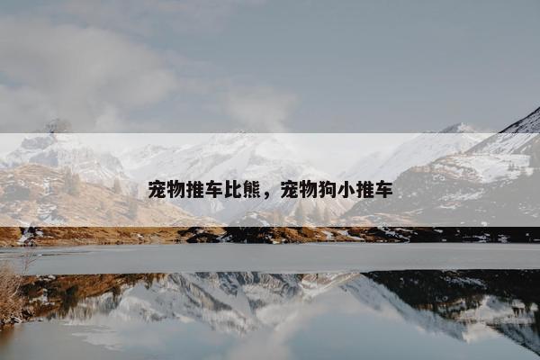 宠物推车比熊，宠物狗小推车