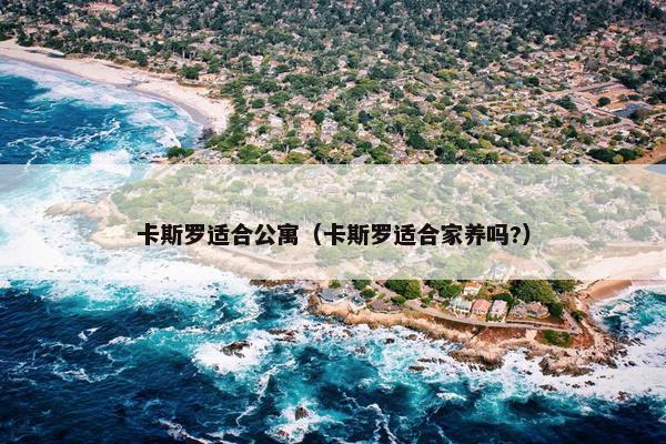 卡斯罗适合公寓（卡斯罗适合家养吗?）