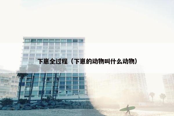 下崽全过程（下崽的动物叫什么动物）
