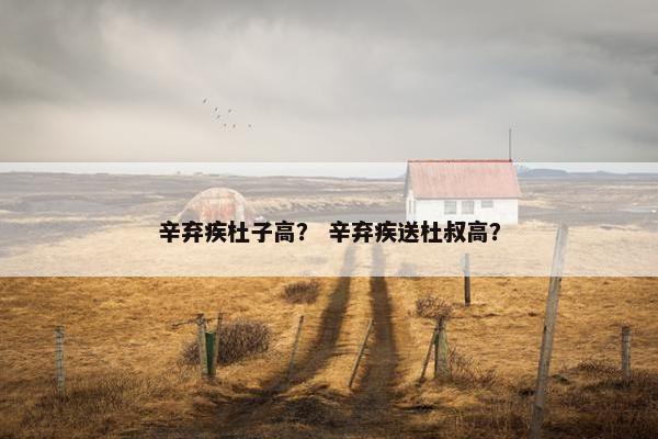 辛弃疾杜子高？ 辛弃疾送杜叔高？