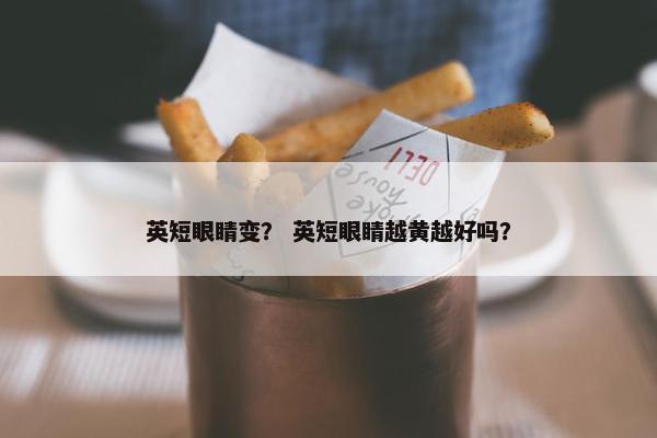 英短眼睛变？ 英短眼睛越黄越好吗？