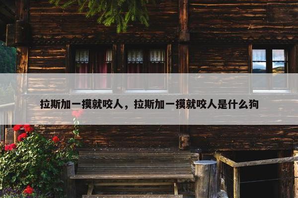 拉斯加一摸就咬人，拉斯加一摸就咬人是什么狗