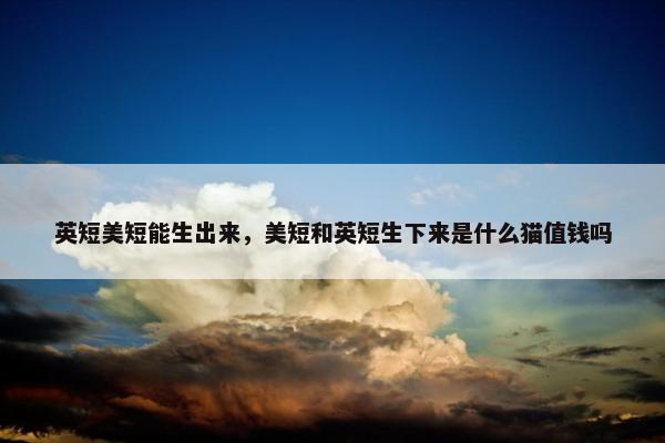 英短美短能生出来，美短和英短生下来是什么猫值钱吗