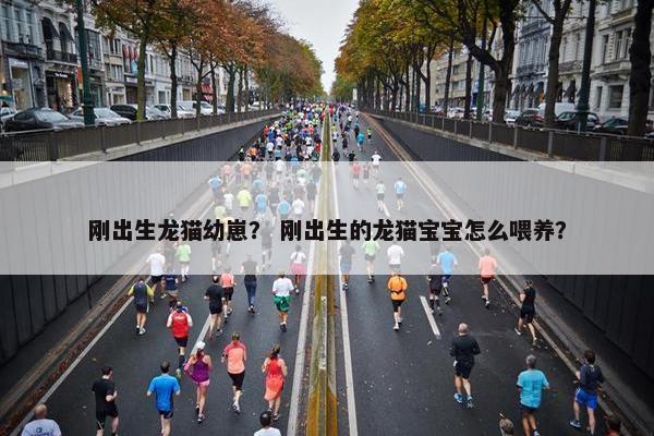 刚出生龙猫幼崽？ 刚出生的龙猫宝宝怎么喂养？