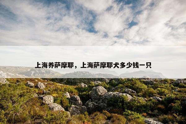 上海养萨摩耶，上海萨摩耶犬多少钱一只