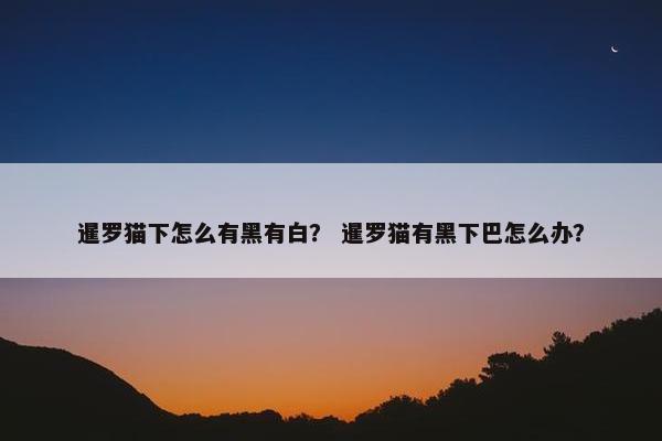 暹罗猫下怎么有黑有白？ 暹罗猫有黑下巴怎么办？