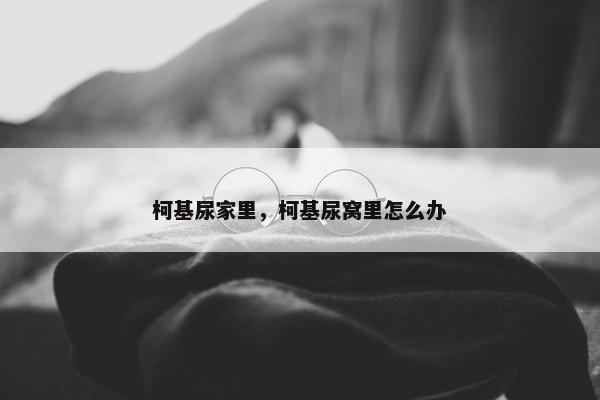 柯基尿家里，柯基尿窝里怎么办