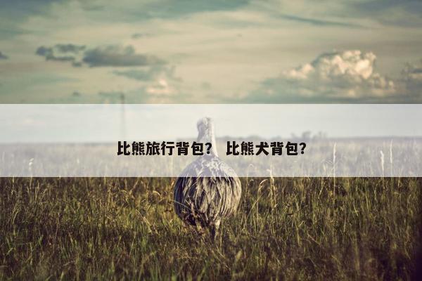 比熊旅行背包？ 比熊犬背包？