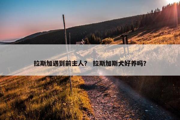 拉斯加遇到前主人？ 拉斯加斯犬好养吗？