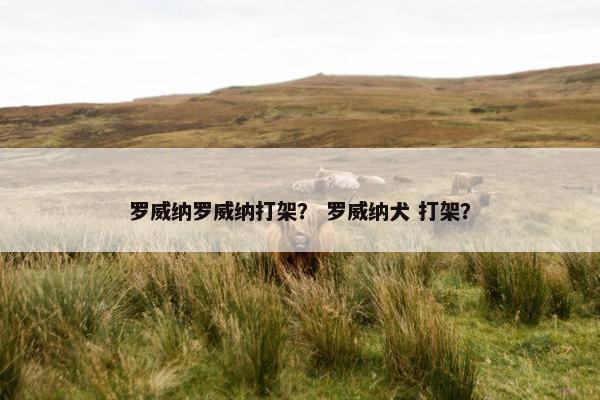 罗威纳罗威纳打架？ 罗威纳犬 打架？