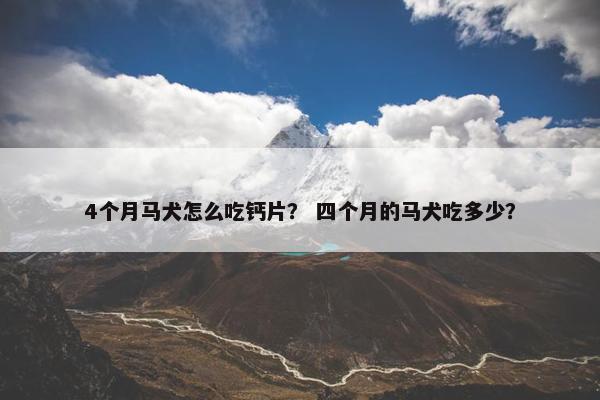 4个月马犬怎么吃钙片？ 四个月的马犬吃多少？