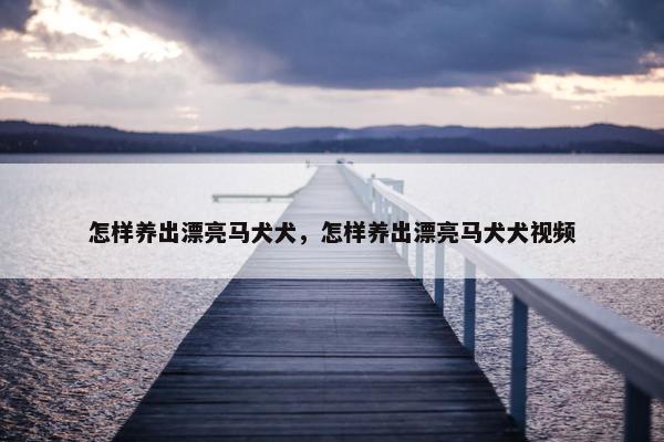 怎样养出漂亮马犬犬，怎样养出漂亮马犬犬视频