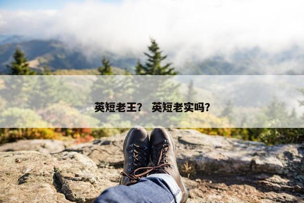 英短老王？ 英短老实吗？
