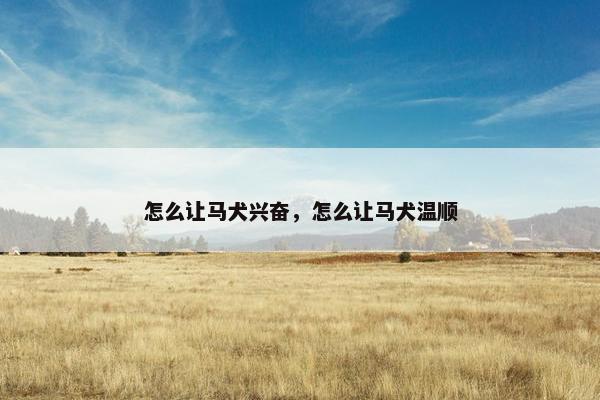 怎么让马犬兴奋，怎么让马犬温顺