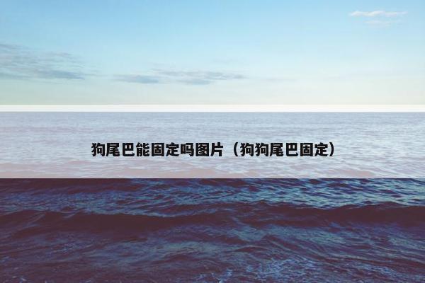 狗尾巴能固定吗图片（狗狗尾巴固定）