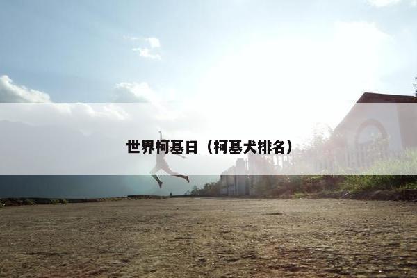 世界柯基日（柯基犬排名）