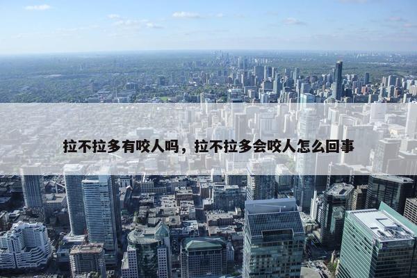 拉不拉多有咬人吗，拉不拉多会咬人怎么回事