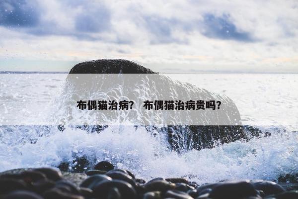 布偶猫治病？ 布偶猫治病贵吗？