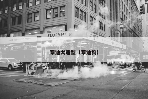 泰迪犬造型（泰迪狗）