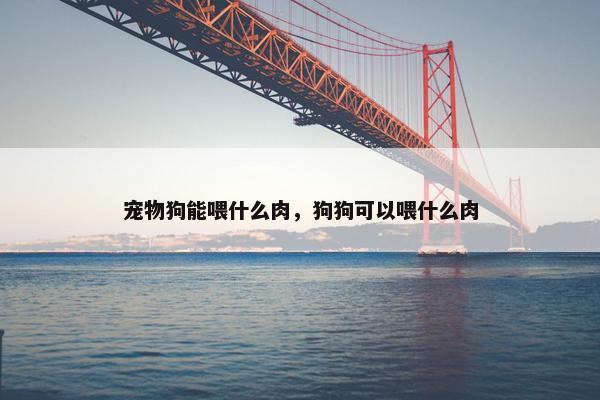 宠物狗能喂什么肉，狗狗可以喂什么肉