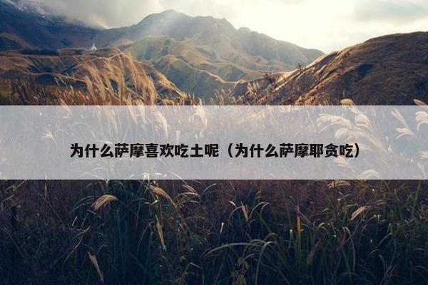 为什么萨摩喜欢吃土呢（为什么萨摩耶贪吃）